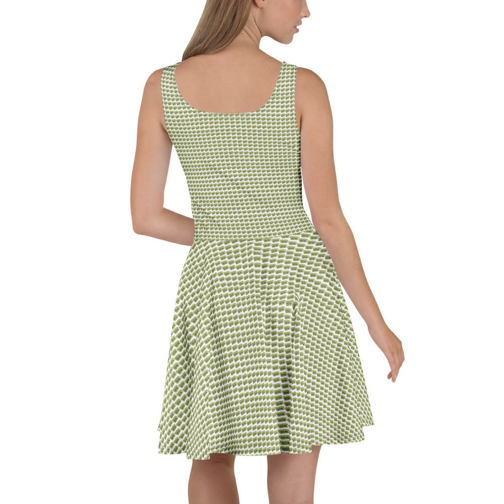 Kimchi Skater Dress