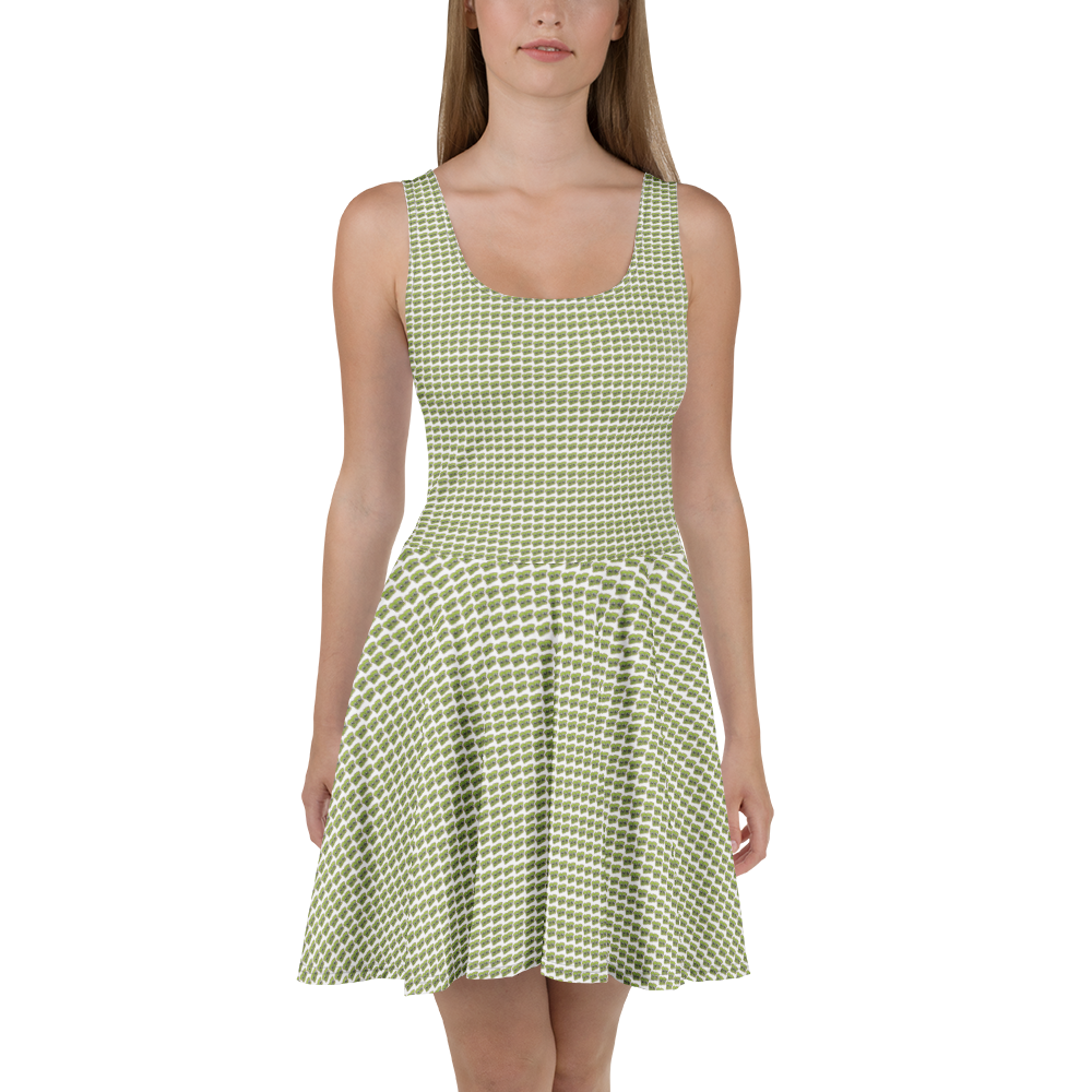 Kimchi Skater Dress